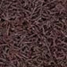 Turf Brown